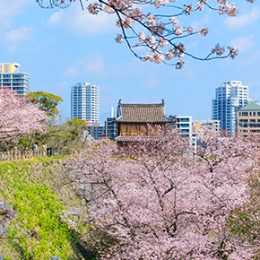 日本福岡舞鶴公園