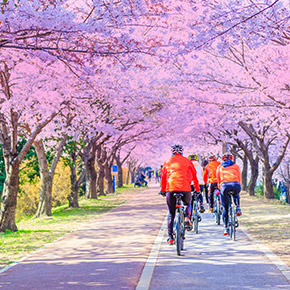 韓國釜山三樂生態公園