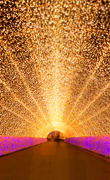 名花之里點燈節