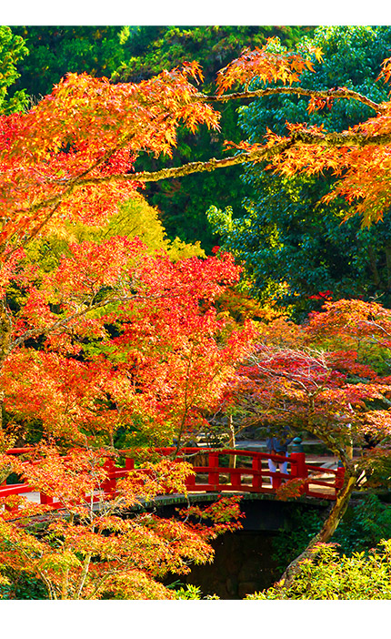 廣島紅葉谷公園