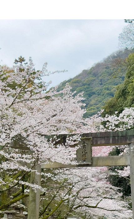 四國金刀比羅宮