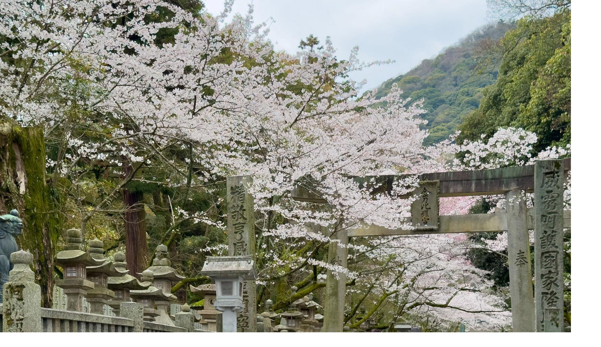 四國金刀比羅宮